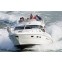 Sealine F42/5