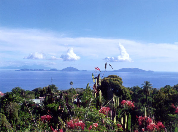 Guadeloupe Vulkanaussicht