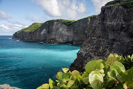 Scenic Cliffs Karibik