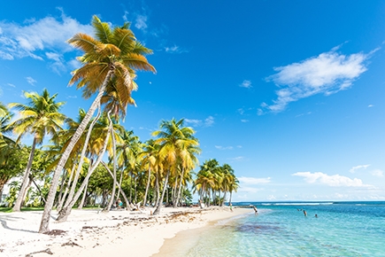 Caravelle beach in Guadeloupe