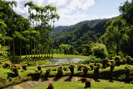 Tropical Garden Balata Martinique